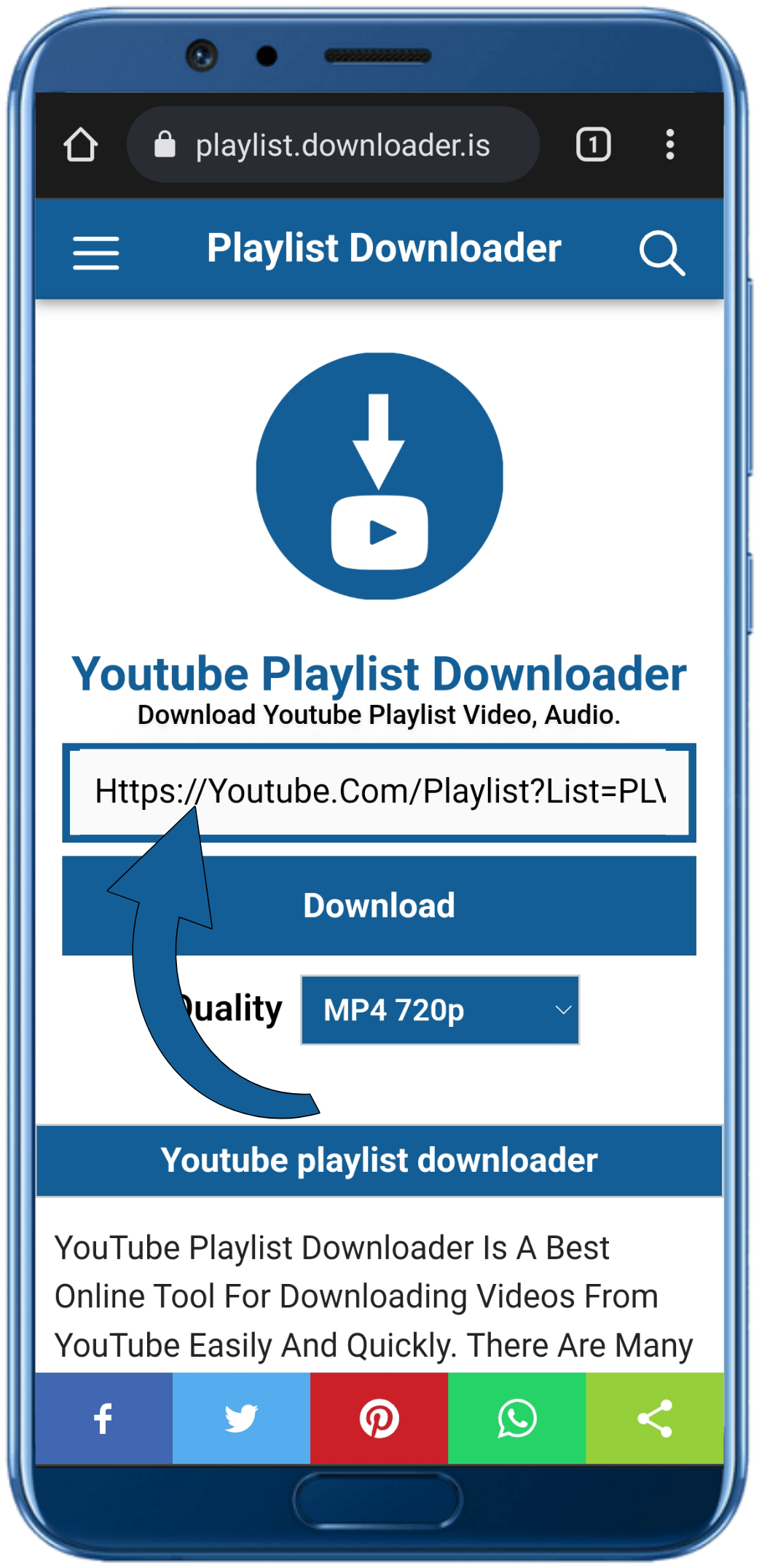 youtube Playlist Downloader Online With FDM Step 2
