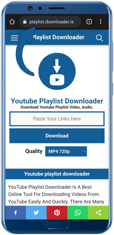 youtube Playlist Downloader Online With FDM Step 1 e1700080070642