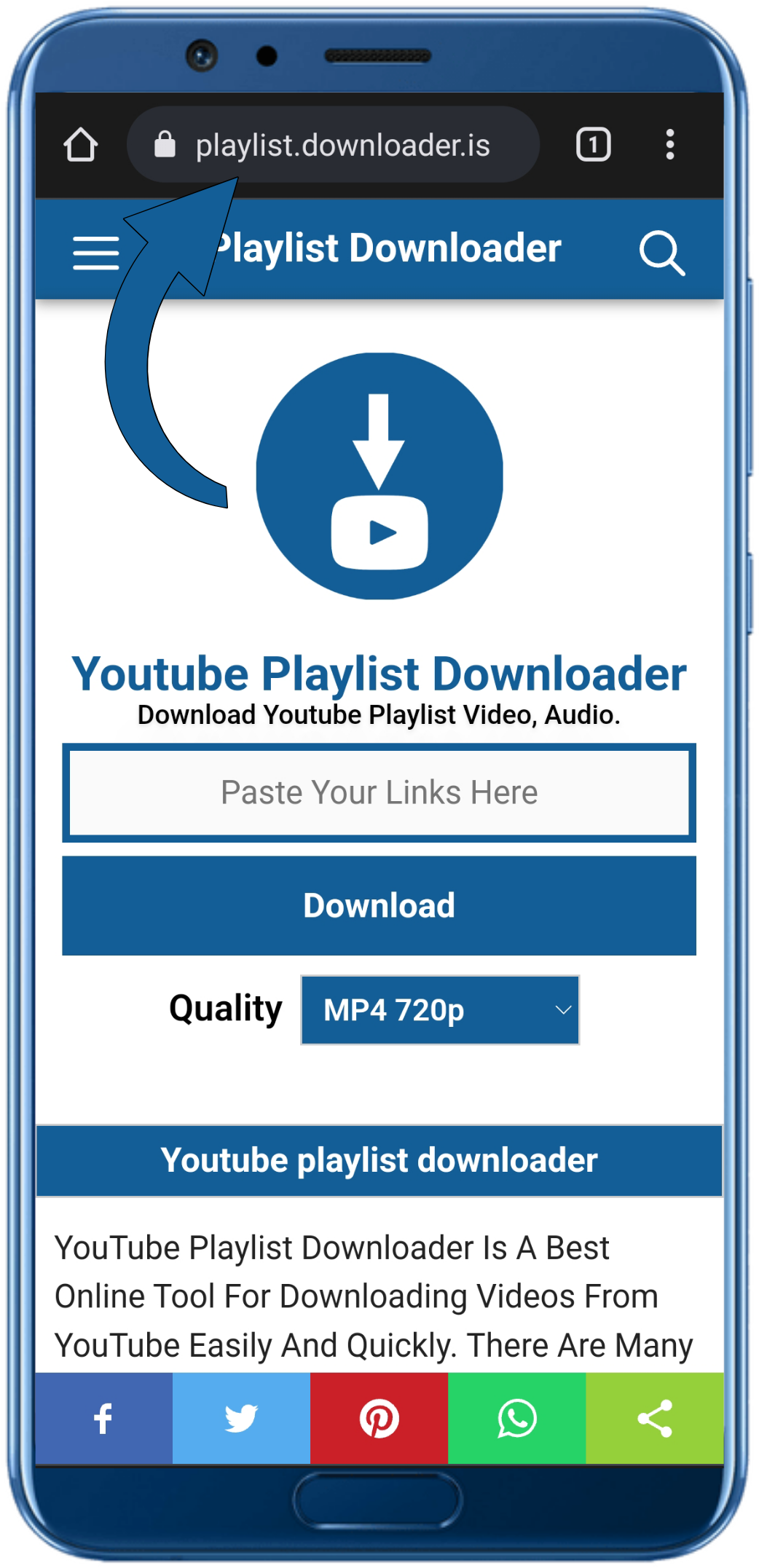 youtube Playlist Downloader Online With FDM Step 1