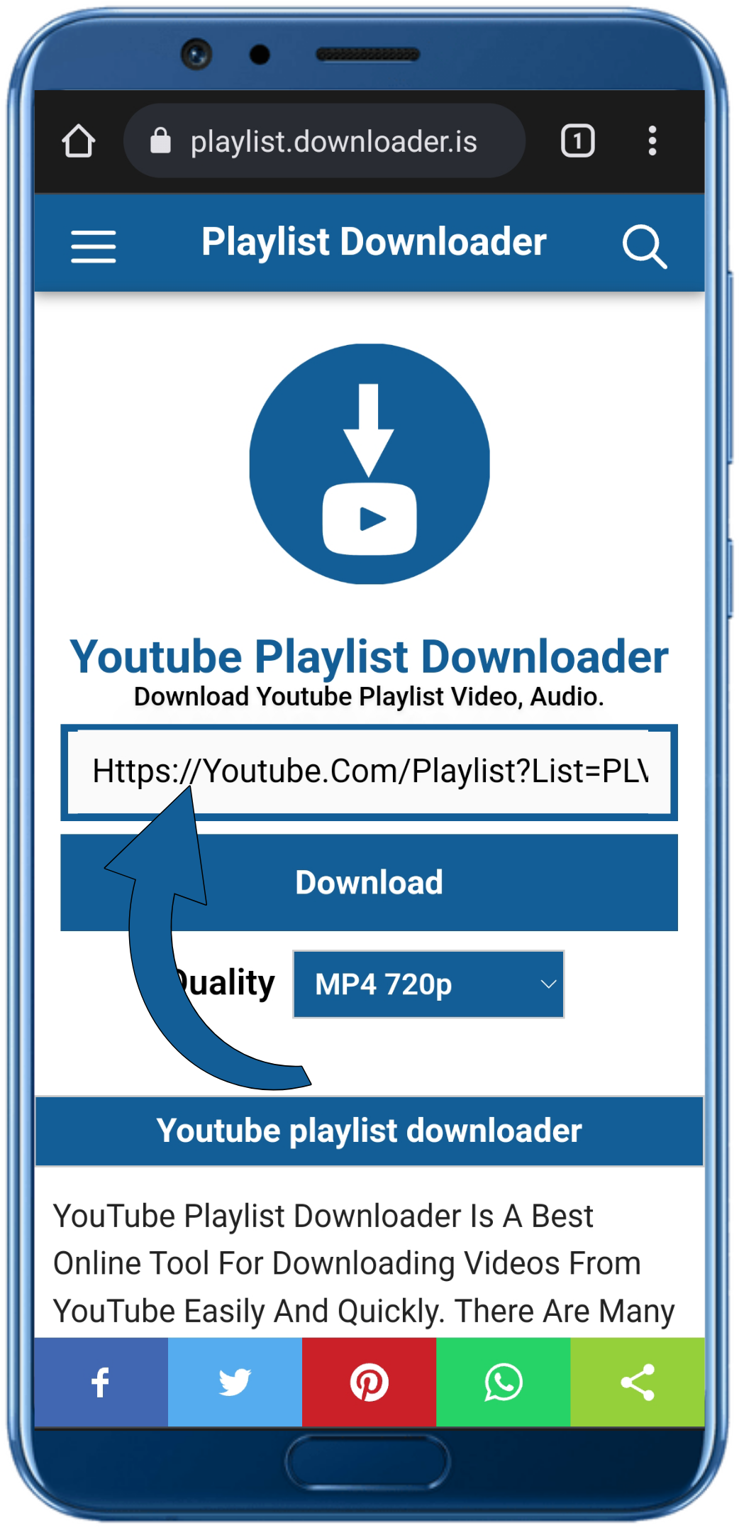 Playlist downloader